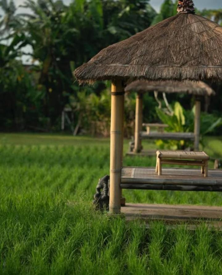 אובוד Rumah Kita Ecolodge מראה חיצוני תמונה